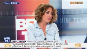 Isabelle Saporta:  "c'est politique, on se sert de ma vie privée pour me faire tomber"