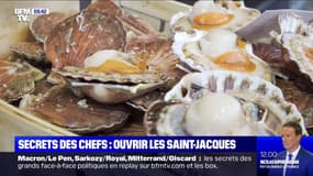 Les secrets des chefs - comment ouvrir les coquilles Saint-Jacques ?