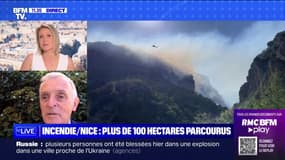 Incendie à Nice : plus de 100 hectares parcourus - 29/07