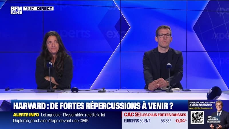 Harvard : de fortes répercussion à venir ? - 26/05