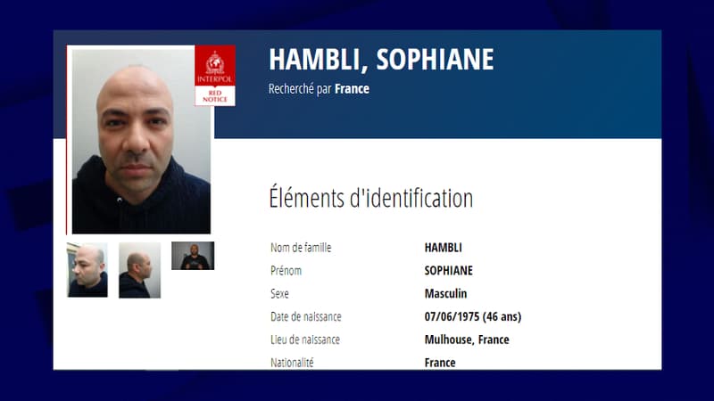 L'avis de recherche Interpol de Sofiane Hambli