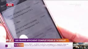 Vacances d'été : les trains affichent complet pour le 14 juillet