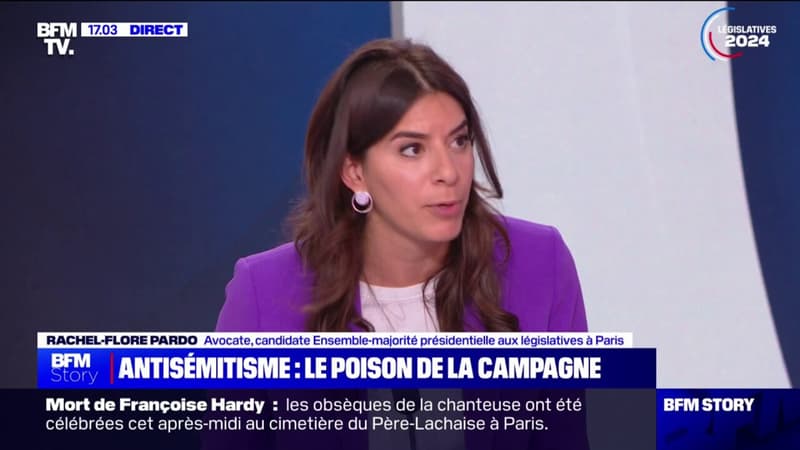 Regarder la vidéo Rachel-Flore Pardo (candidate Ensemble - majorité présidentielle aux législatives à Paris): 