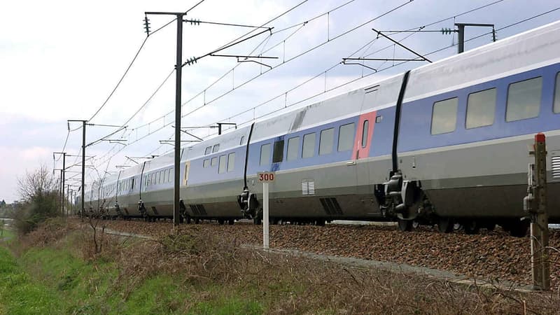 Les deux adolescentes se sont allongées sur les rails, obligeant un TGV à s'arrêter (photo d'illustration).