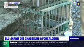 Chasse à la glu: une manifestation de chasseurs à Forcalquier