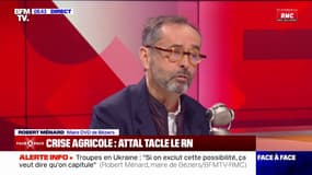 Agriculture: "Nous, ce qu'on a besoin c'est plus d'Europe, pas moins d'Europe", affirme Robert Ménard (DVD)