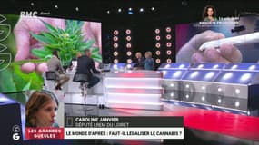 Cannabis: "Que l'Etat reprenne la main dessus!", réclame cette députée LREM