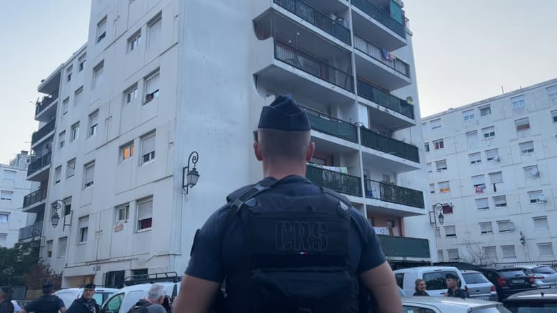 Une opération anti-drogue dans le quartier des Liserons à Nice, le 30 août 2023.
