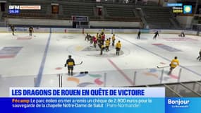 Ligue Magnus: les dragons de Rouen en quête de victoire
