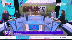 Envoyer des élèves à la ferme pour susciter des vocations: ridicule?
