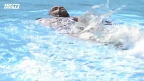 Teddy Riner est de retour