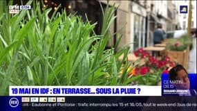 Une réouverture des terrasses sous la pluie? Les restaurateurs franciliens s'inquiètent