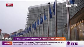 Fragilisation de la France face à l'accord de libre-échange du Mercosur