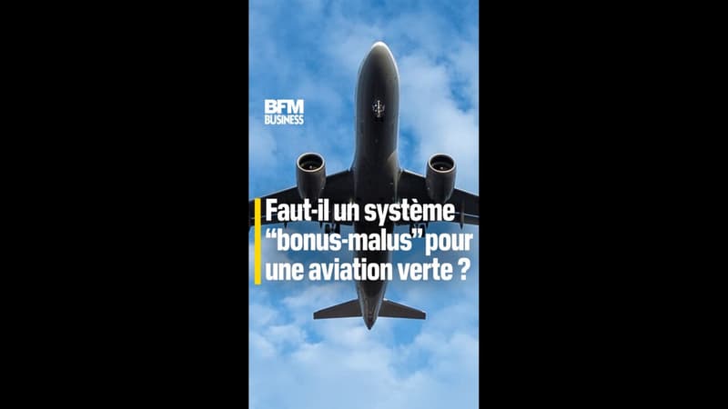 Faut-il un système "bonus-malus" pour une aviation verte ?
