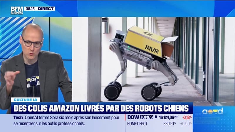Des colis Amazon livrés par des robots chiens