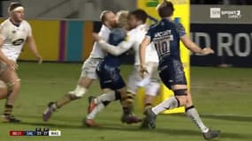 Danny Cipriani avant son KO