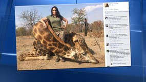 Sabrina Corgatelli a déclenché un tollé après avoir abattu une girafe.