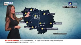 Météo Paris-Ile de France du 8 mars: Un temps très ensoleillé