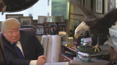 Donald Trump s'est rabrouer par un rapace, lors d'une séance photo pour Time.
