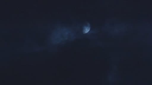 La semaine dernière, des Havrais ont découvert une nuée de boules phosphorescentes dans le ciel.