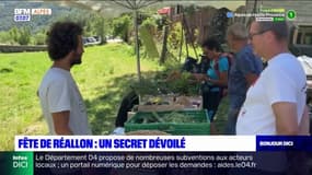 Réallon: à la fête du village, une parure vieille de 3000 ans dévoilée