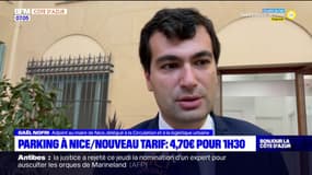 Nice: pourquoi de nouveaux tarifs dans les parkings?