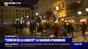 "Convoi de la liberté": quelque dizaines de manifestants mobilisés devant le Parlement européen à Bruxelles