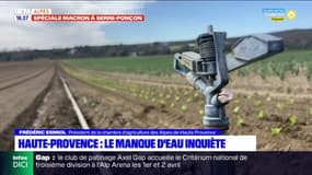 Alpes-de-Haute-Provence: le manque d'eau inquiète les agriculteurs