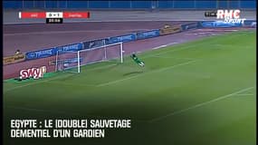 Egypte : Le (double) sauvetage démentiel d'un gardien