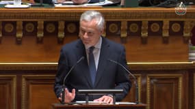 Bruno Le Maire, le 30 janvier 2024, devant le Sénat