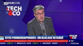 L'actu tech: Vaches mortes, une antenne 4G désactivée - 24/05