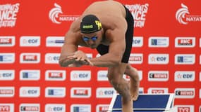 Florent Manaudou lors des Championnats de France à Chartres