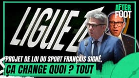 "Premier League à la française", qu'est-ce que change le projet de loi visant le football professionnel français ?