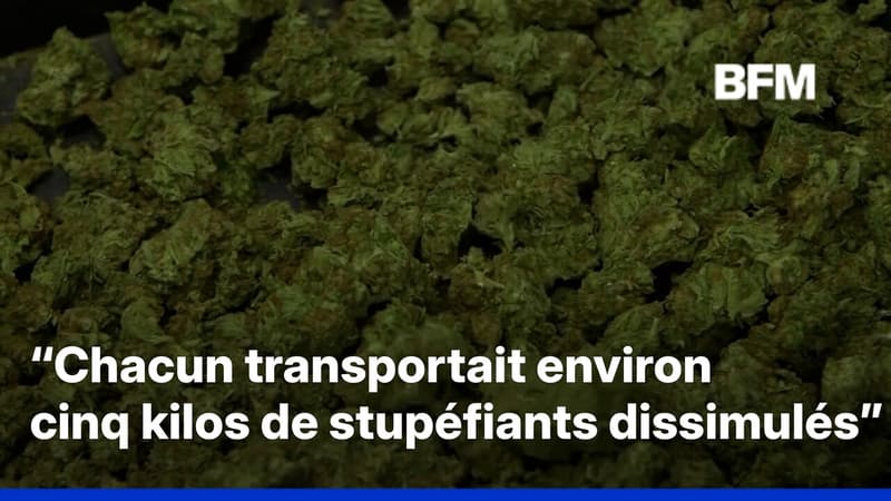 Un groupe de 22 moines bouddhistes arrêtés avec 110 kilos de cannabis à leur retour de vacances
