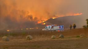 La forêt nationale Los Padres, en Californie,  est touchée par un violent incendie, le 18 juin 2016.