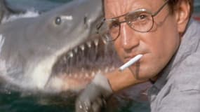 Image du film "Les Dents de la mer" de Steven Spielberg sorti en 1975