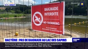 Baignade interdite au lac des Sapins 