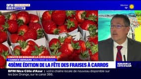 La fête des fraises prévue ce week-end à Carros