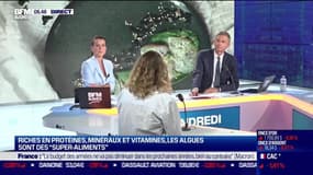 Victoire de Lapasse (Neptune Elements): Neptune Elements est une jeune netreprise de la filire de l'algue alimentaire française - 15/07