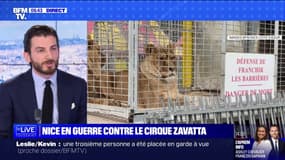 Nice: la mairie dépose plainte après l'installation "illégale" d'un cirque Zavatta et l'accuse de "maltraitance animale"