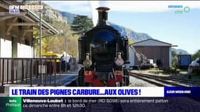 Alpes-Maritimes: le mythique train des pignes carbure aux olives