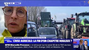 Crise agricole: "Notre phase de mobilisation va redémarrer", affirme Véronique Le Floc'h (Coordination rurale)