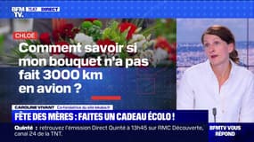 Fleurs "made in France", seconde main...: comment faire un cadeau respectueux de l'environnement pour la fête des mères ? BFMTV répond à vos questions