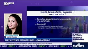 Idée de fonds: Faut-il investir dans les fonds "low carbon" ? - 25/06