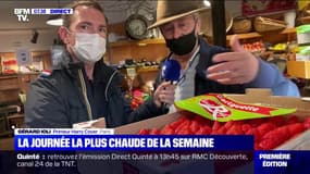 Quels sont les fruits de saison à déguster ?