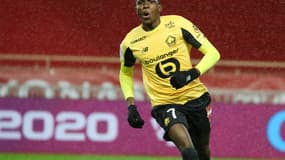 Victor Osimhen (LOSC)