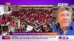 "Si les élus nationaux sont mauvais, il n'y a qu'à les mettre de côté", estime Jean Viard, sociologue