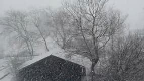 Importantes chutes de neiges dans les Vosges. - Témoins BFMTV