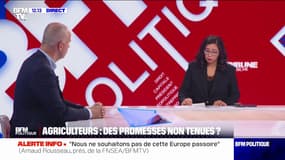 "Plusieurs dizaines de milliers" d'exploitations agricoles sont "en danger", estime Arnaud Rousseau 