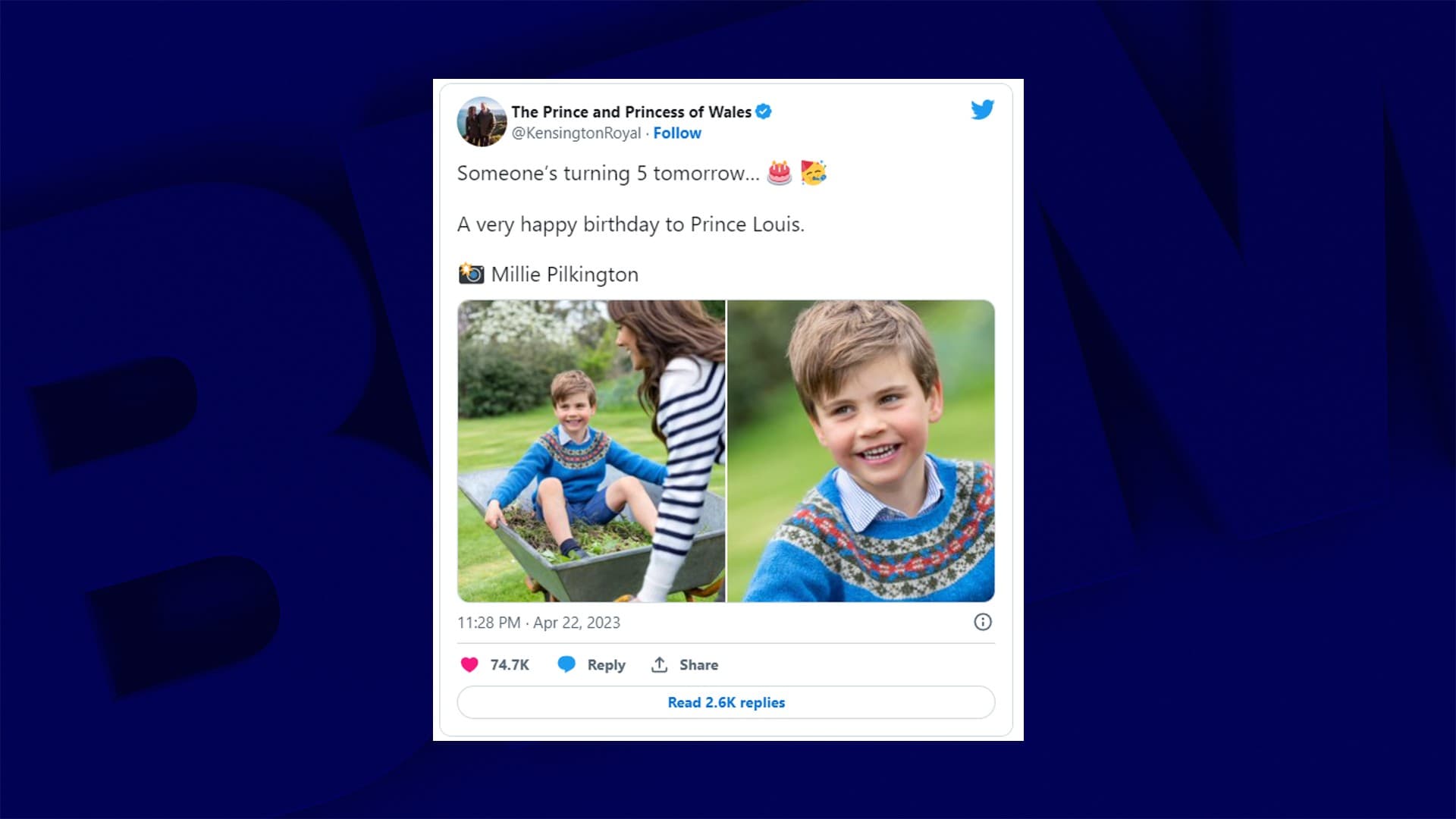 Des clichés inédits du prince Louis dévoilés pour son cinquième